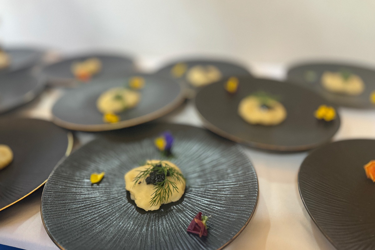 位上黑紋理圓碟租賃